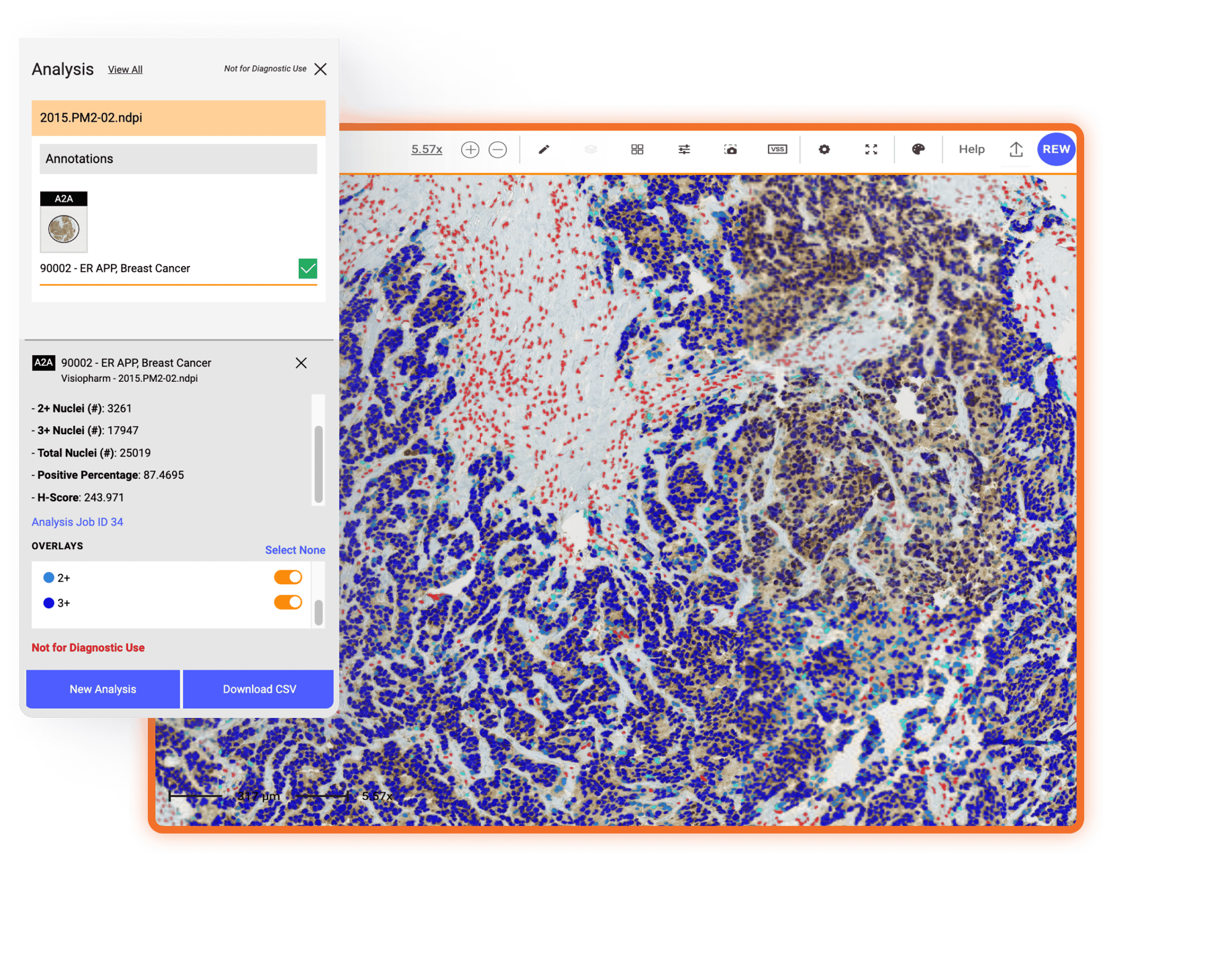 Image of Corista DP3 Platform Image Analysis Dashboard 