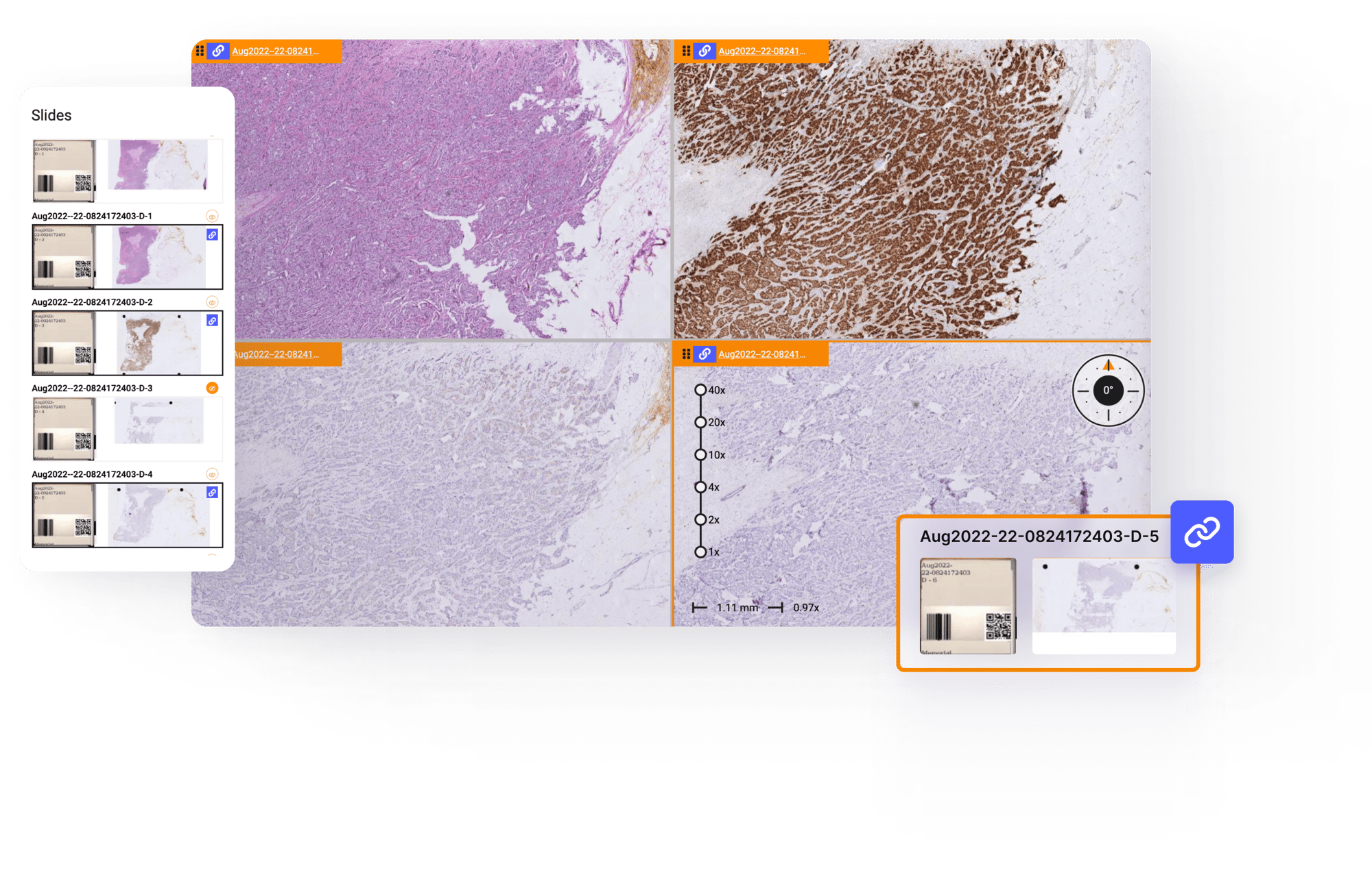 Image of Corista DP3 Image Management Platform UI Dashboard