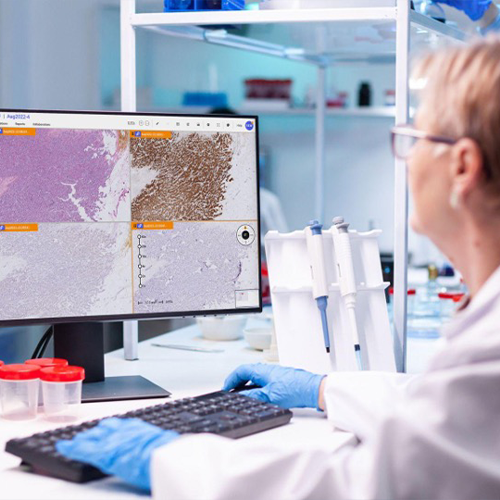 Image of medical/life sciences professional working with DP3 on desktop