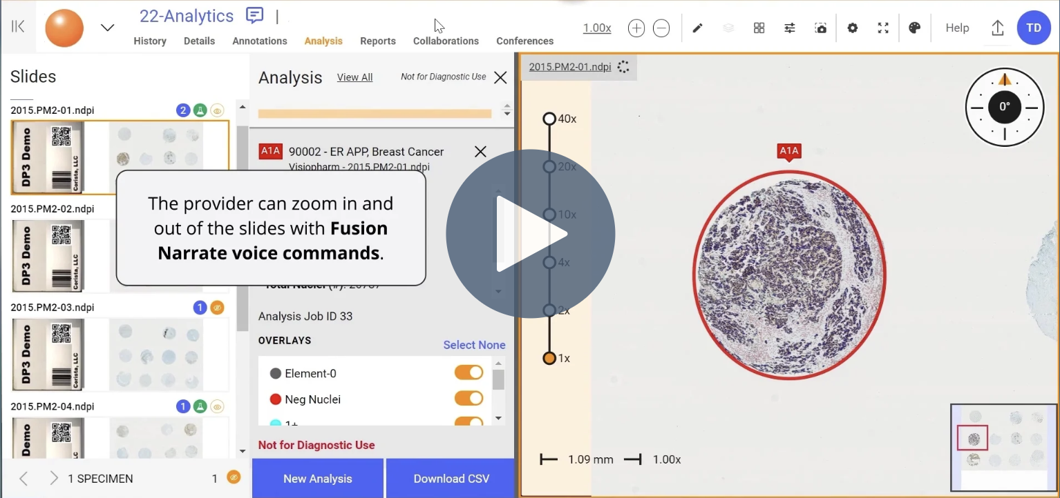 Corista Dolbey and Xifin Partner Page Video